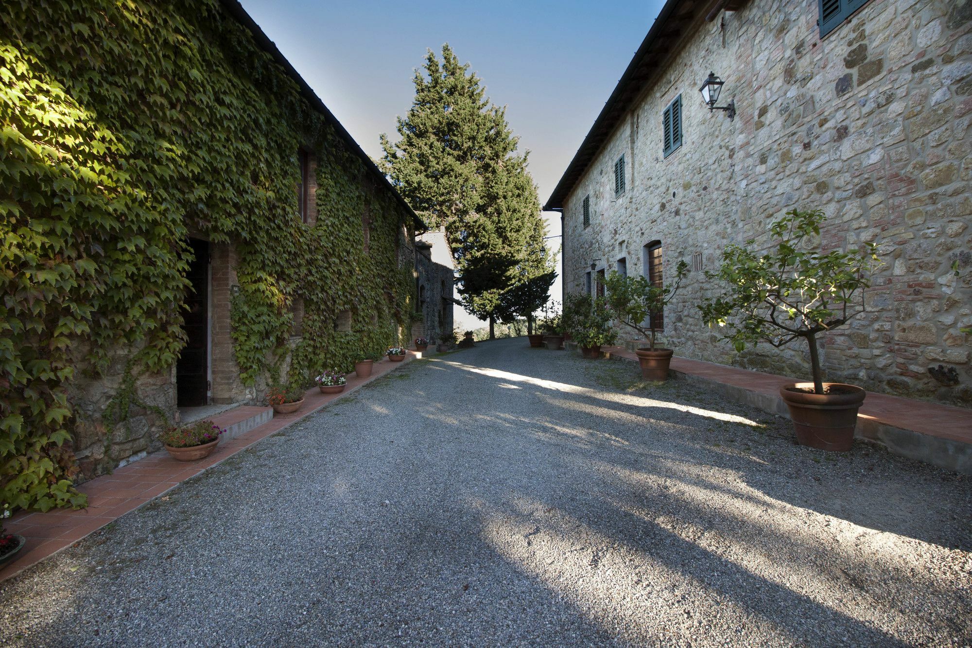 B&B La Torre - Fattoria Di Larniano San Gimignano Eksteriør billede